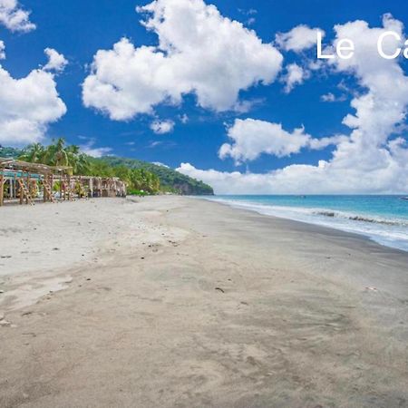 Lodge Pamplemousse Avec Piscine Privative , Dans Parc Calme A 500 M Plage Le Carbet Kültér fotó